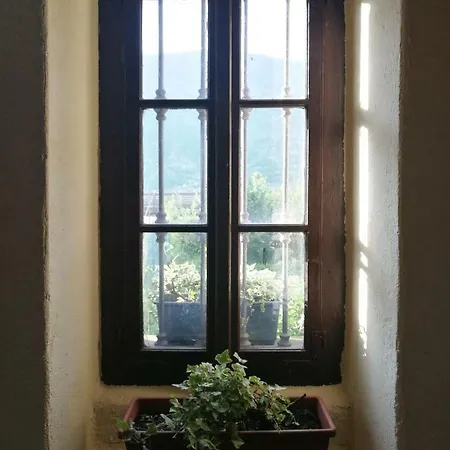 Vecchia Casa Edera * Форкола
